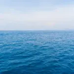 Indexierung kann die Kosten um bis zu 440 Millionen Euro je ausgeschriebenem Gigawatt (GW) für Offshore Wind senken!
