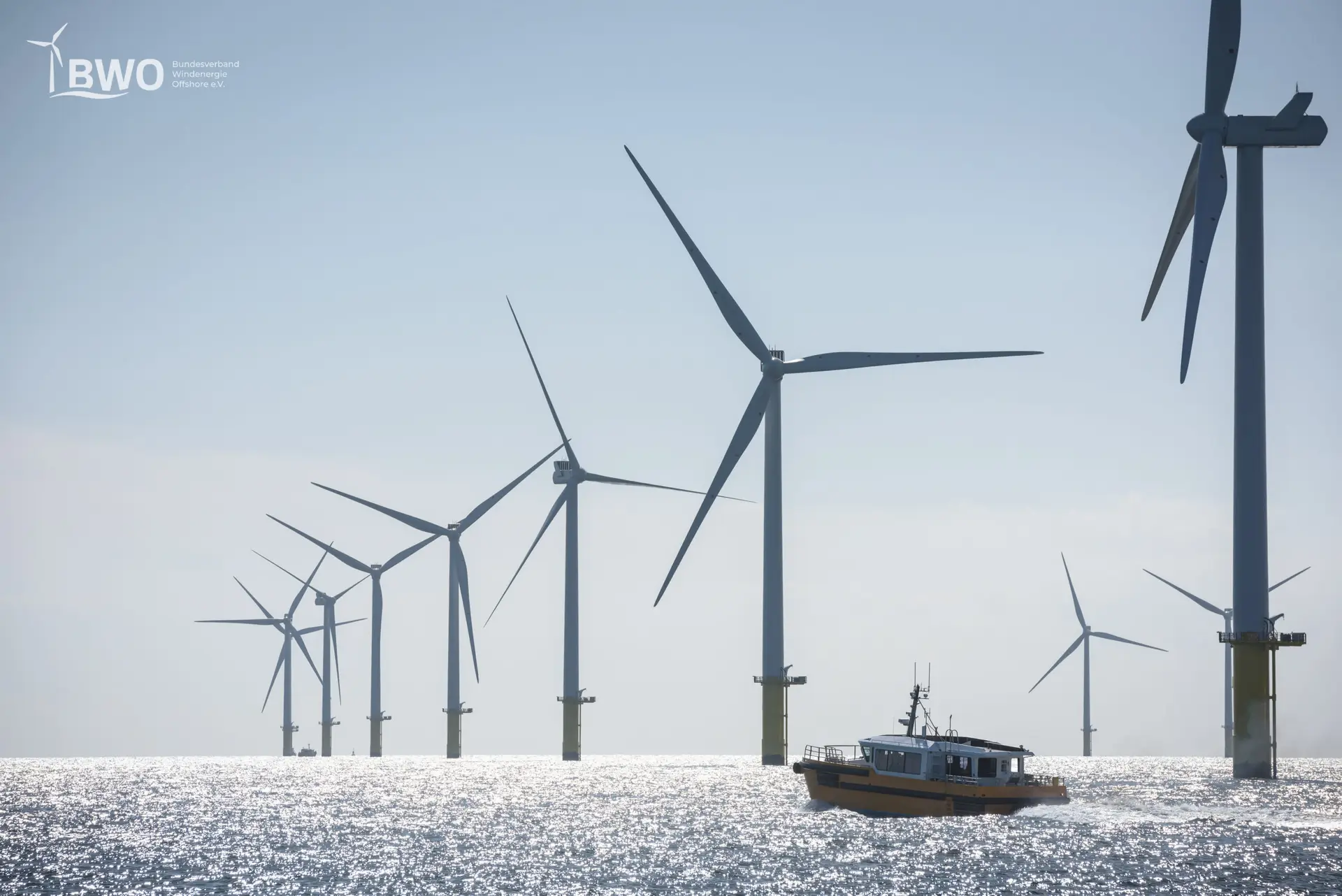 WindSeeG im Bundestag: BWO warnt vor Industriekrise